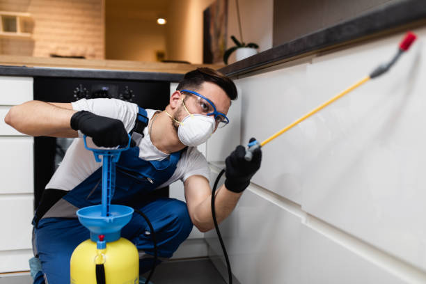 Pest Control for Restaurants in Berryville, VA