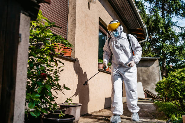 Best Affordable Pest Control Services  in Berryville, VA