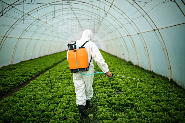 Pest Prevention Services in Berryville, VA