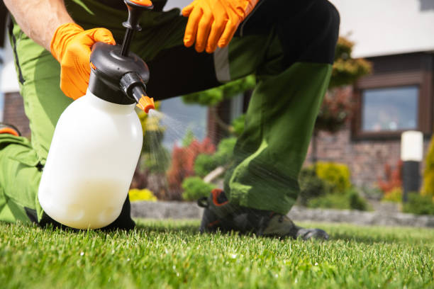Best Emergency Pest Control  in Berryville, VA