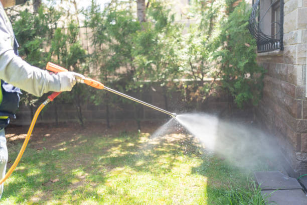 Best Best Pest Control Companies  in Berryville, VA