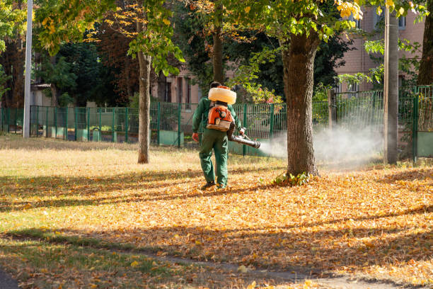 Best Pest Prevention Services  in Berryville, VA